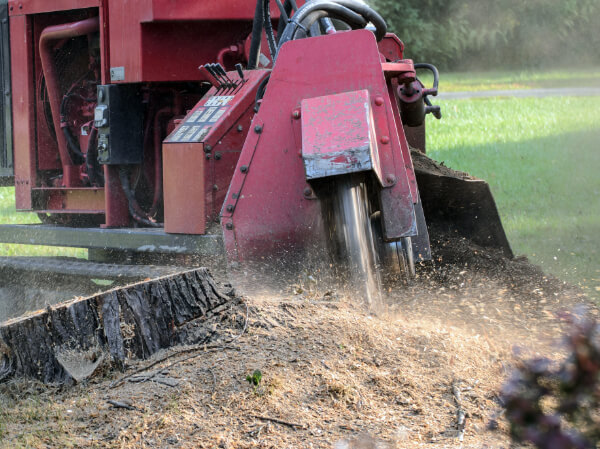 Large and small stump grinding and removal.