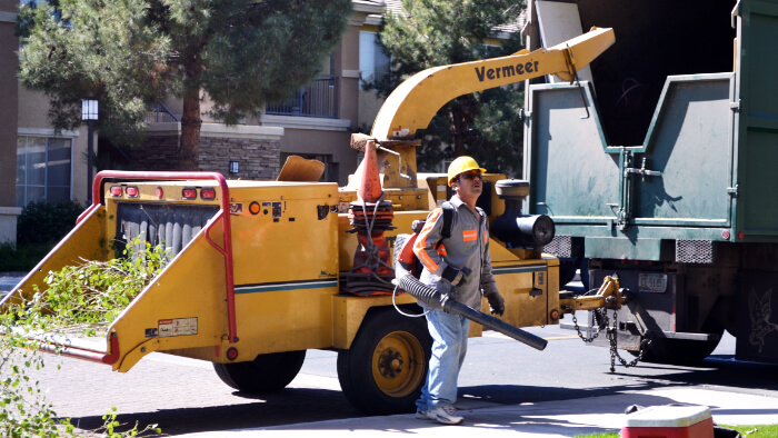 Phoenix Tree Removal arrives on scene.