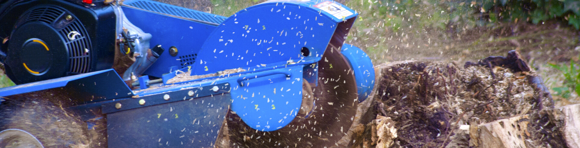 Stump grinding 
