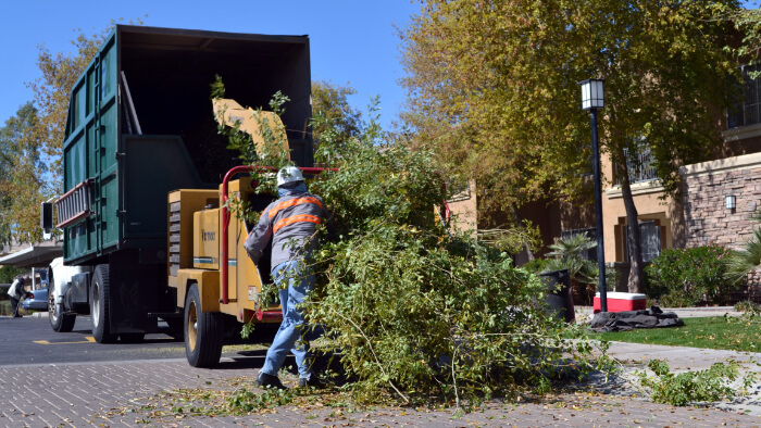 Cleaning up after a storm.